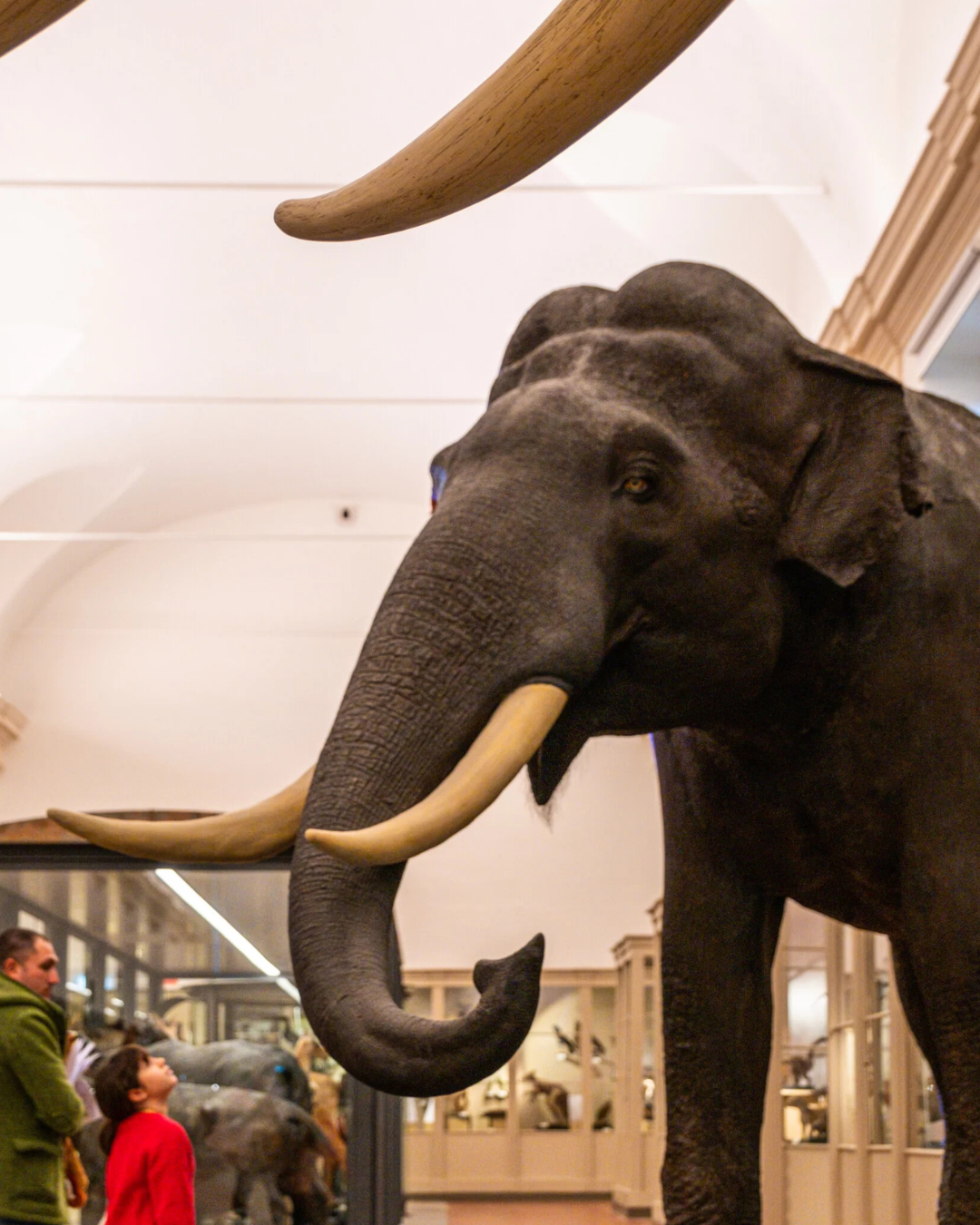 Museo Regionale di Scienze Naturali di Torino