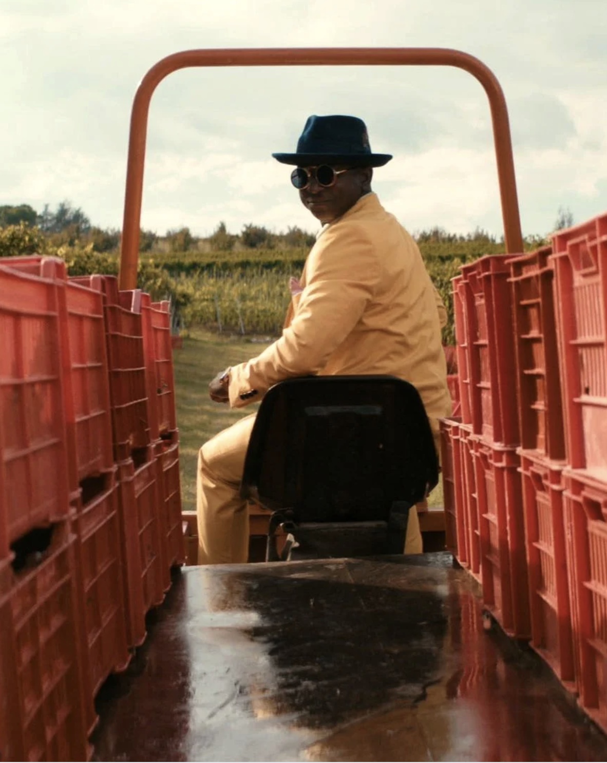 Dancing Screens: “Grape Maestro”