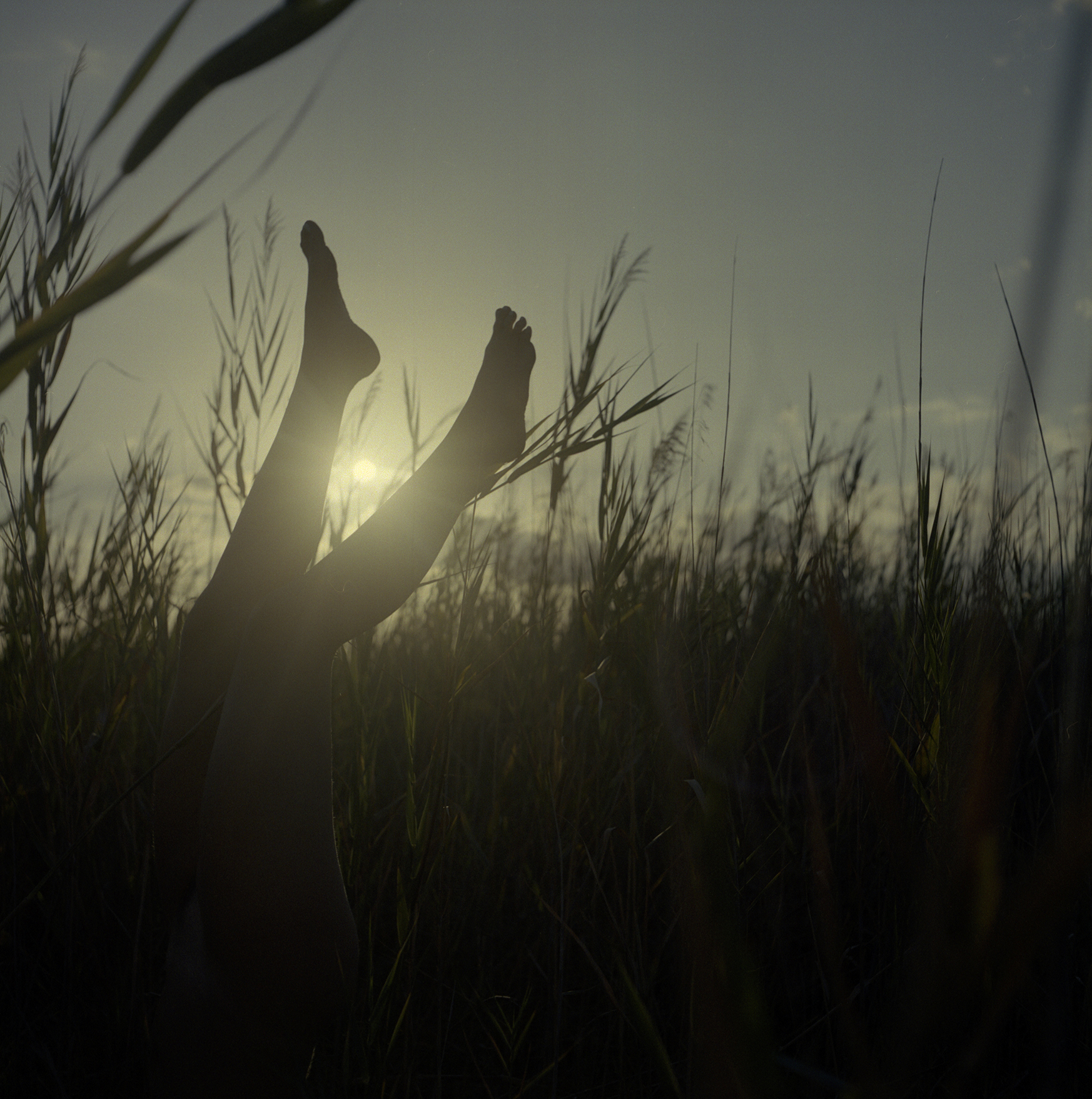 “Sotto la marea” di Alessandro Pugno al Cine Qua Non Lab in Messico