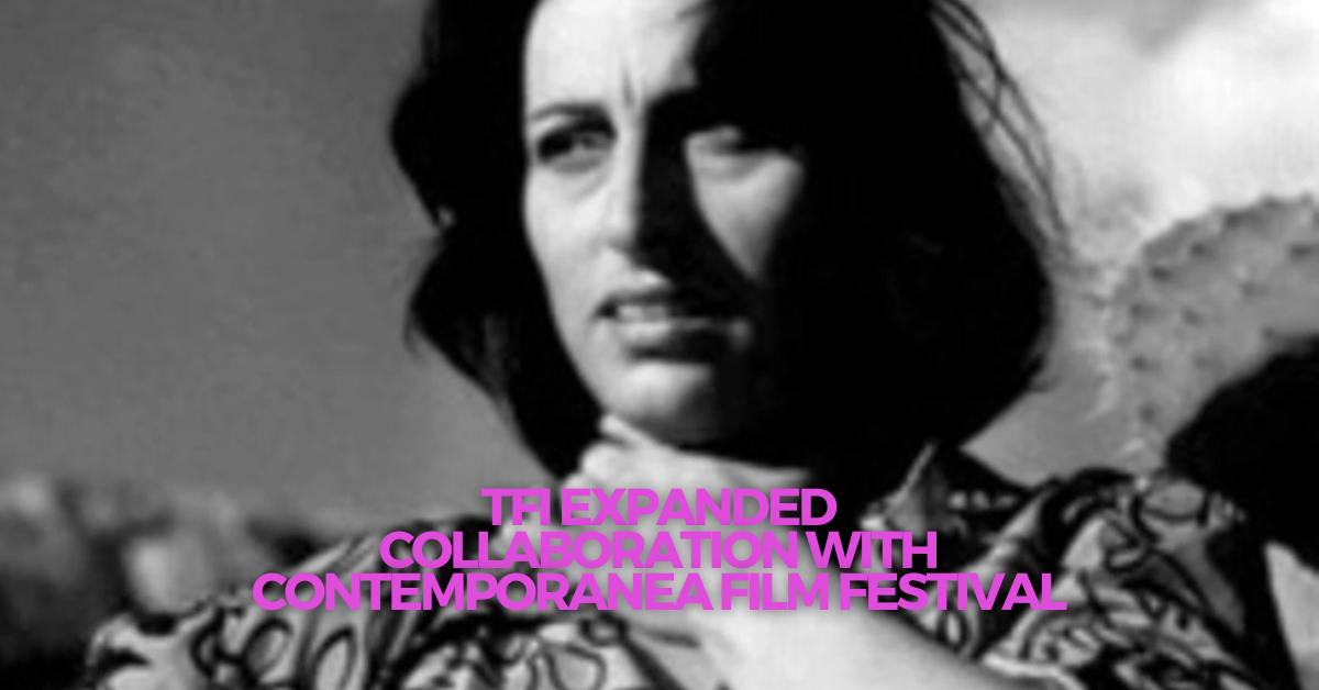 TFI Torino Film Industry Expanded: “Professioniste dell’audiovisivo: un’istantanea Contemporanea” with Contemporanea Film Festival